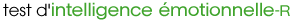 Logo: Test d'intelligence émotionelle - corporate